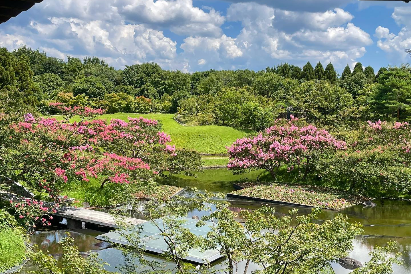 京都梅小路公園